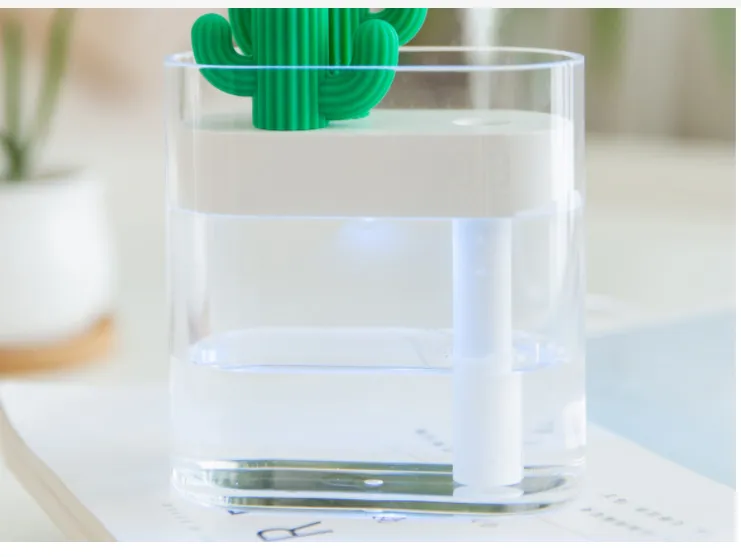 Transparent Landscape Cactus Portable Humidifier – image 9