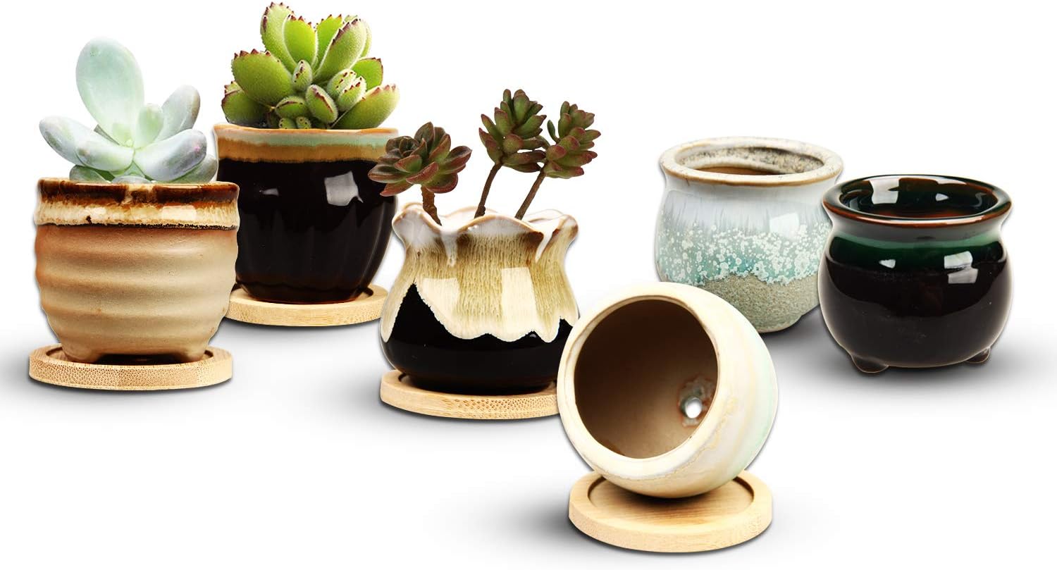 Ceramic Succulent Pot Set, 6 Pack