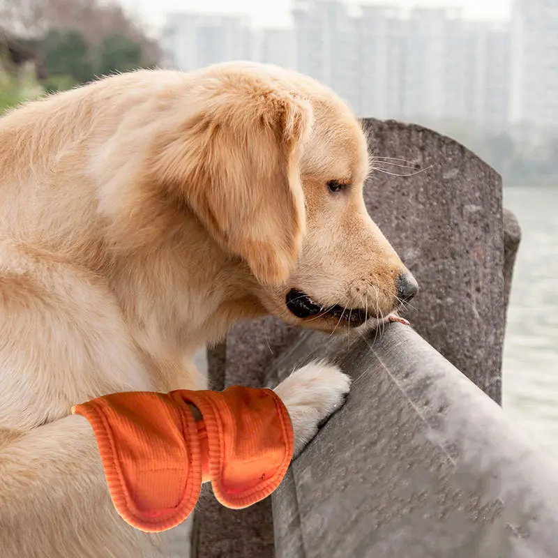 Pet Knee Brace Dog Postoperative Recovery Strap