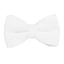 Bow2
