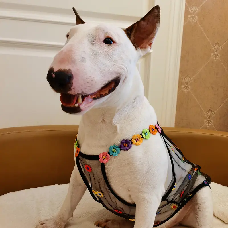 Hollow Light And Breathable Cute Flower Pet Clothes