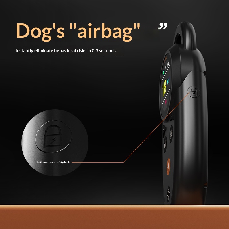 Collier de dressage pour chien avec télécommande