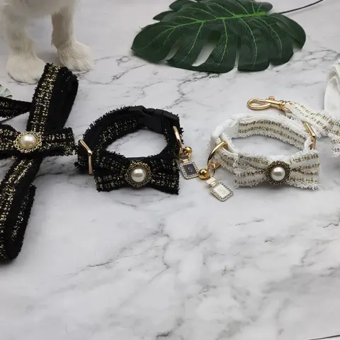 Pet Collar Leashes Dog Leash to Go Out