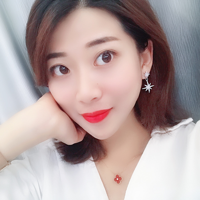 Asymmetrical Stud Earrings With Micro Diamonds And Octagonal Star Earrings