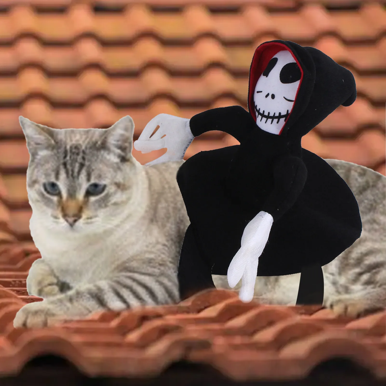 NEW Funny Pet Halloween Costume Decoration Dress