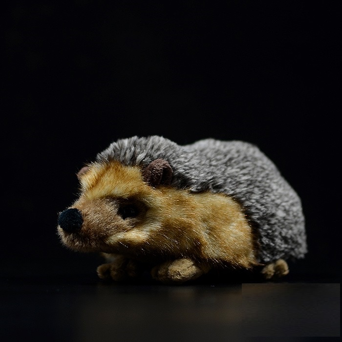 Hedgehog