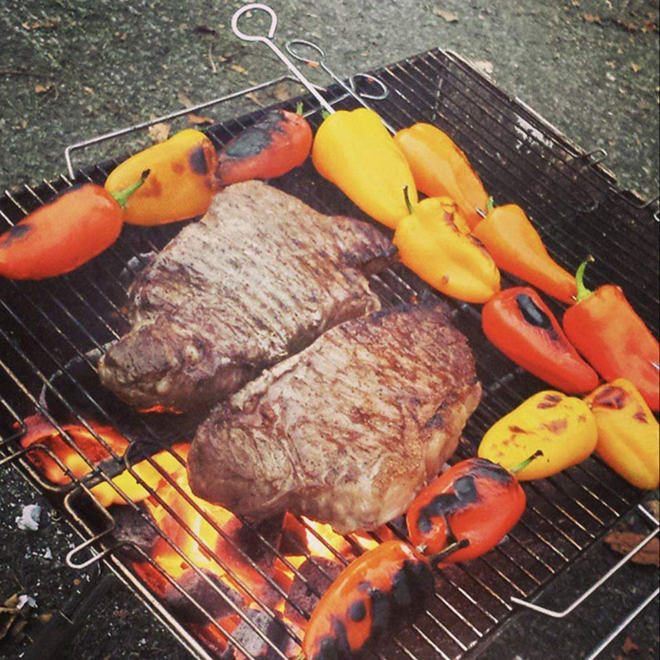 Title 6, Draagbare RVS BBQ grill, antiaanbaklaag, opvouw...