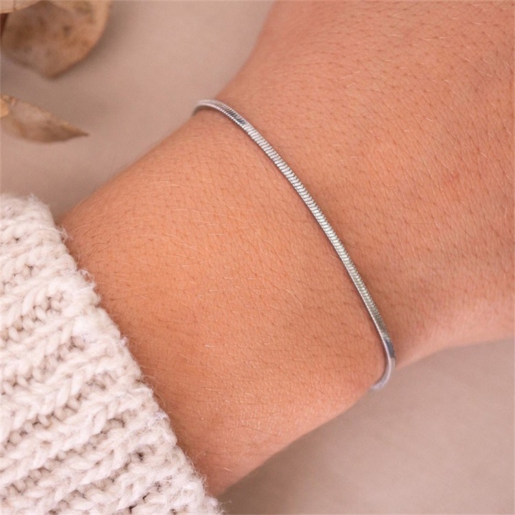 Title 3, Korean Simple Fashion Snake Bone Bracelet