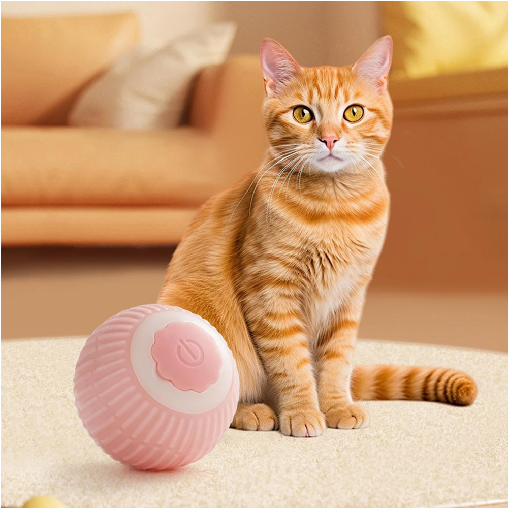 Interactive Rolling Cat Ball