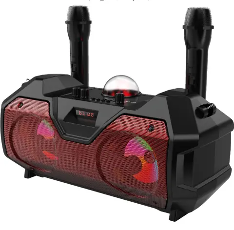 Microphone Dual Bluetooth Speaker