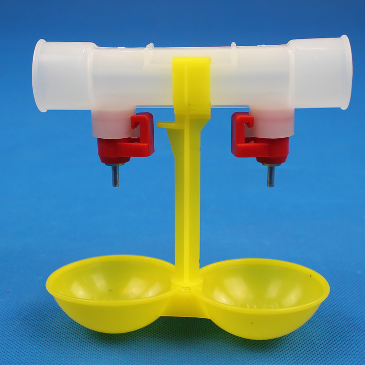 Double Bowl 6-point Card Integrated Chicken Water Cup