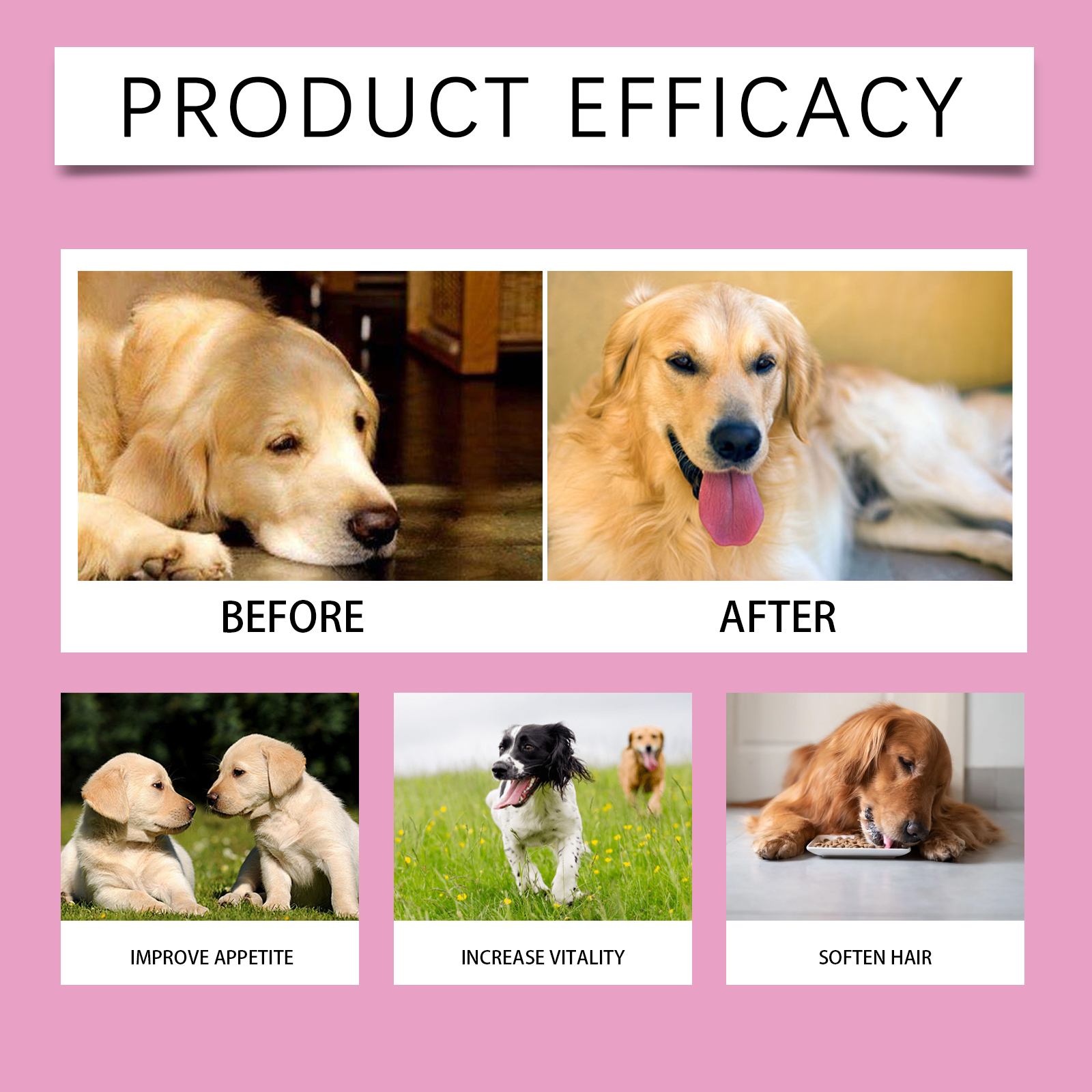 Dog Pre & Probiotic Digestive Care Tablets, Gut Health Supplement For Dogs, Supports Digestion, Immunity, Skin & Vision Health, 80 Chewable Tablets — view 2