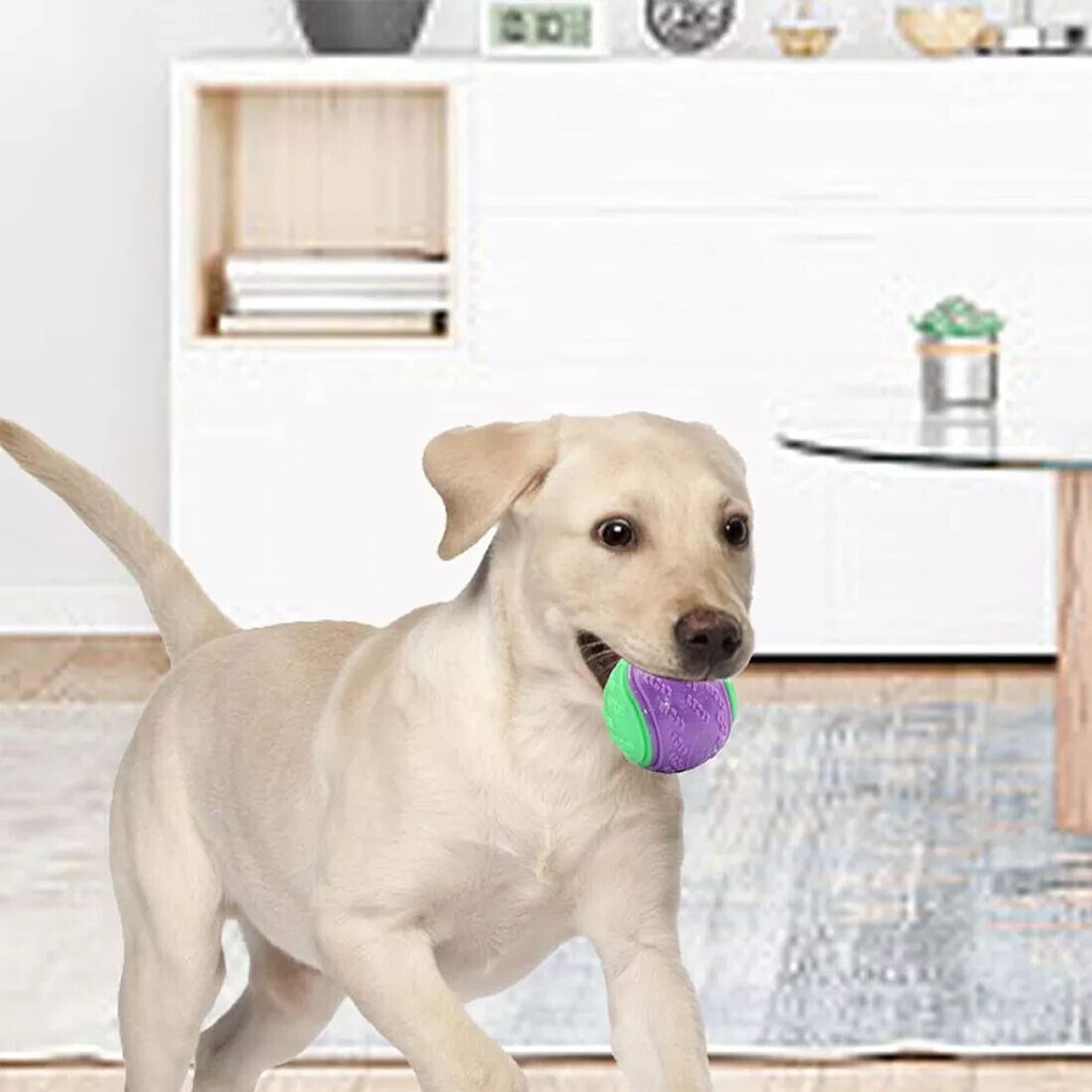 NEW Scooby-Doo Squeaky Set Of 8 Dog Balls For Teeth Cleaning Interactive UK
