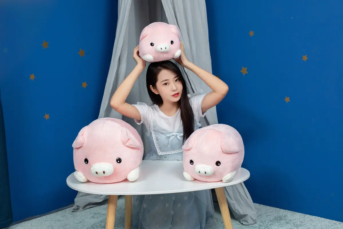 Cute And Fashionable Lying Pose Blessing Pig Plush Doll Toy Pig