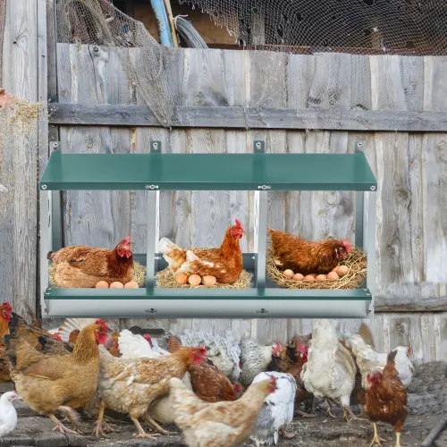 Metal Nesting Boxes For Chicken, 3 Compartment