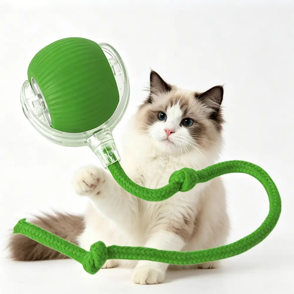 Electric Dog Cat Ball Toy, Indoor Large