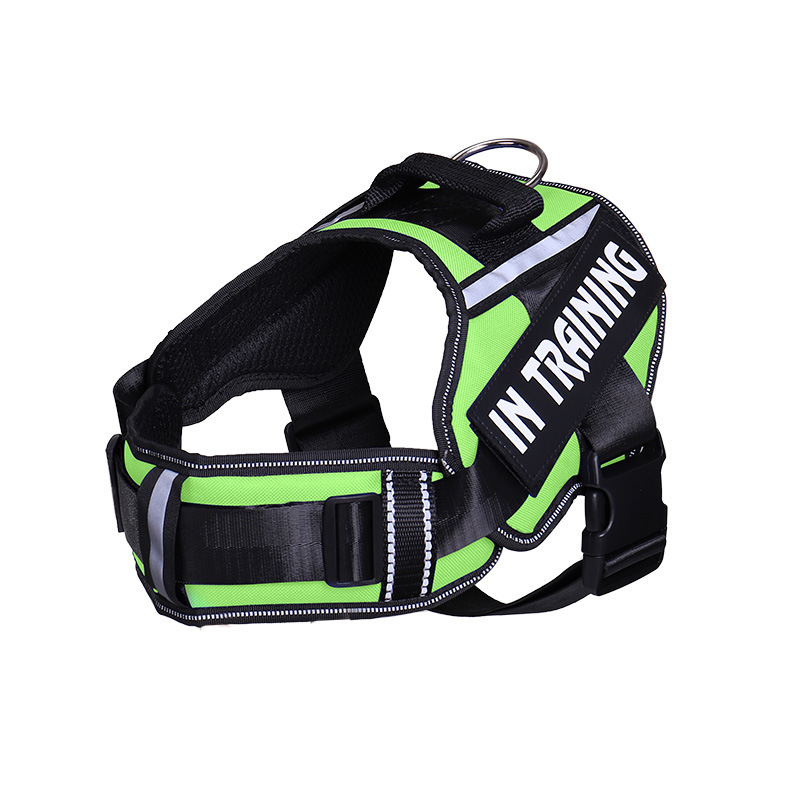 Reflective Dog Leash For Chest Harness Customization Green - Shop at LoveMi