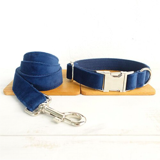 Collar plus Leash