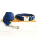 Collar Plus Leash