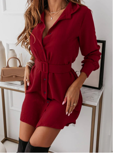 Long-sleeved Lapel Dress