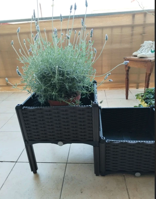 Raised Garden Bed With Legs And Self-watering Planter Box_voghion.com