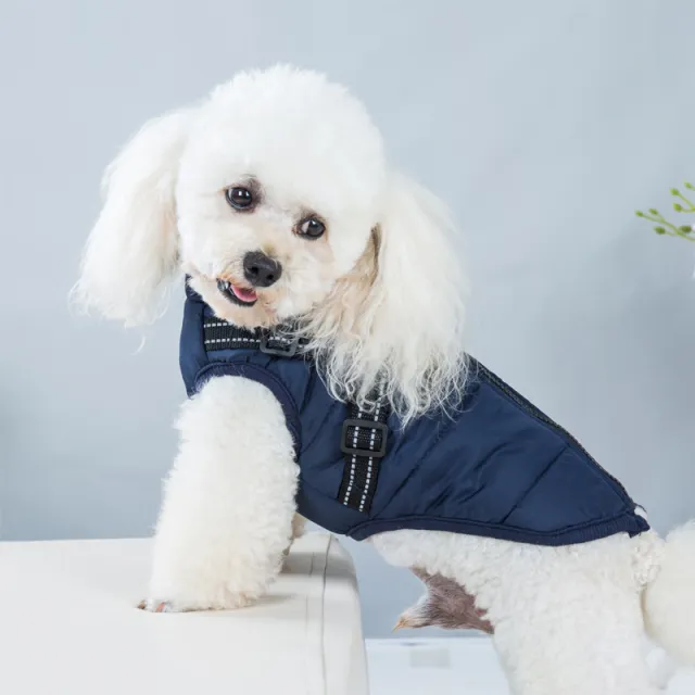 Pet Clothes Waterproof And Warm Dark Blue Chest Back Vest - Shop at LoveMi