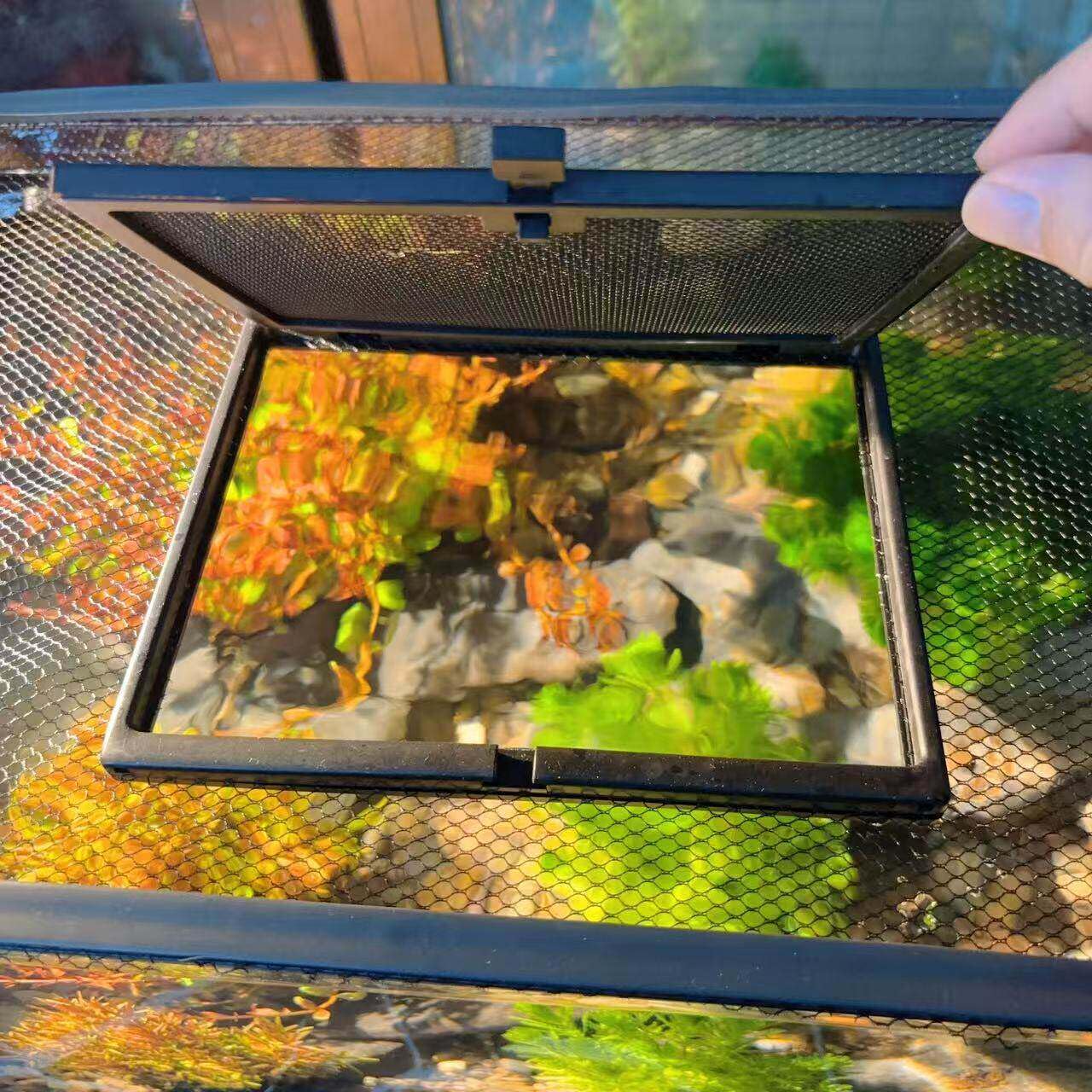 Couvercle d'aquarium magnétique pour réservoir de poissons – Image 6