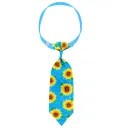 Blue Bottom Sunflower