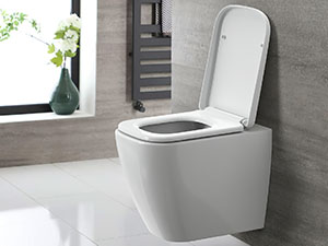 Toilet Seat