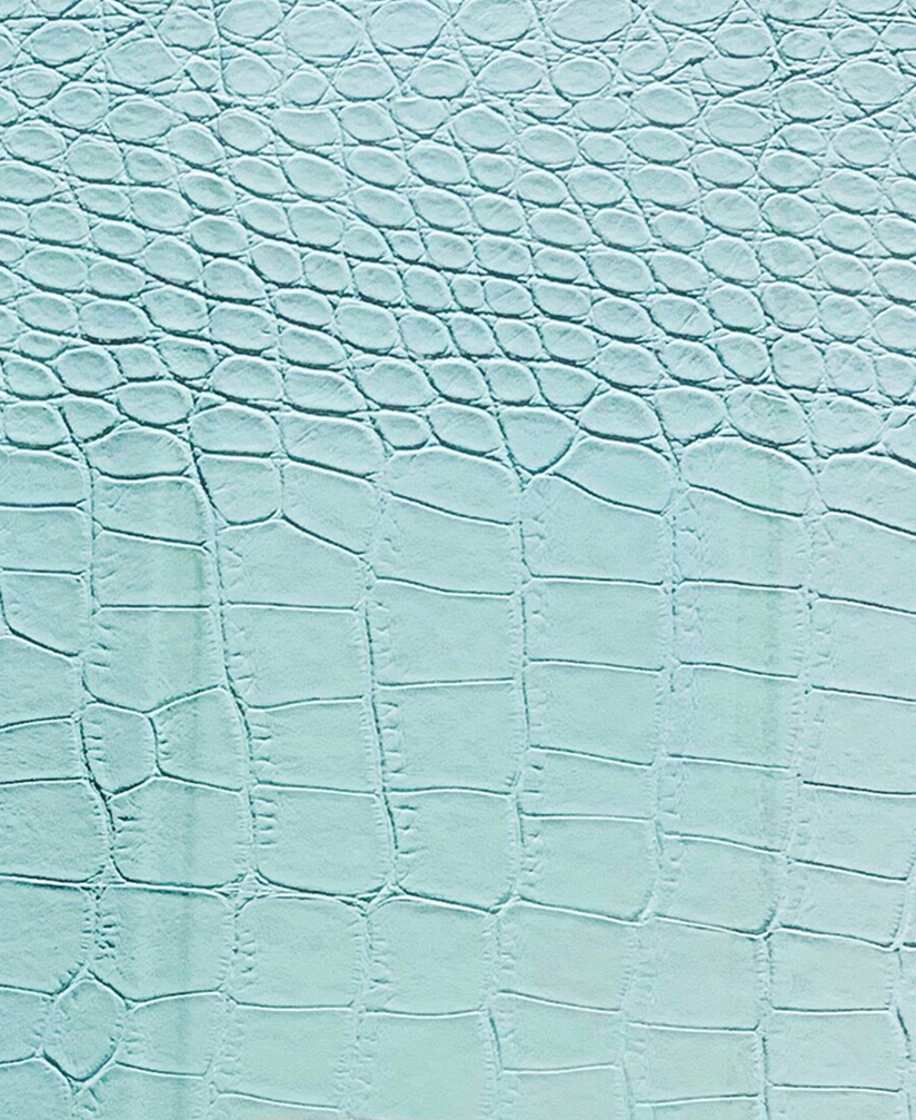 Green  Skin Pro11 Flat Protective Case Full Screen