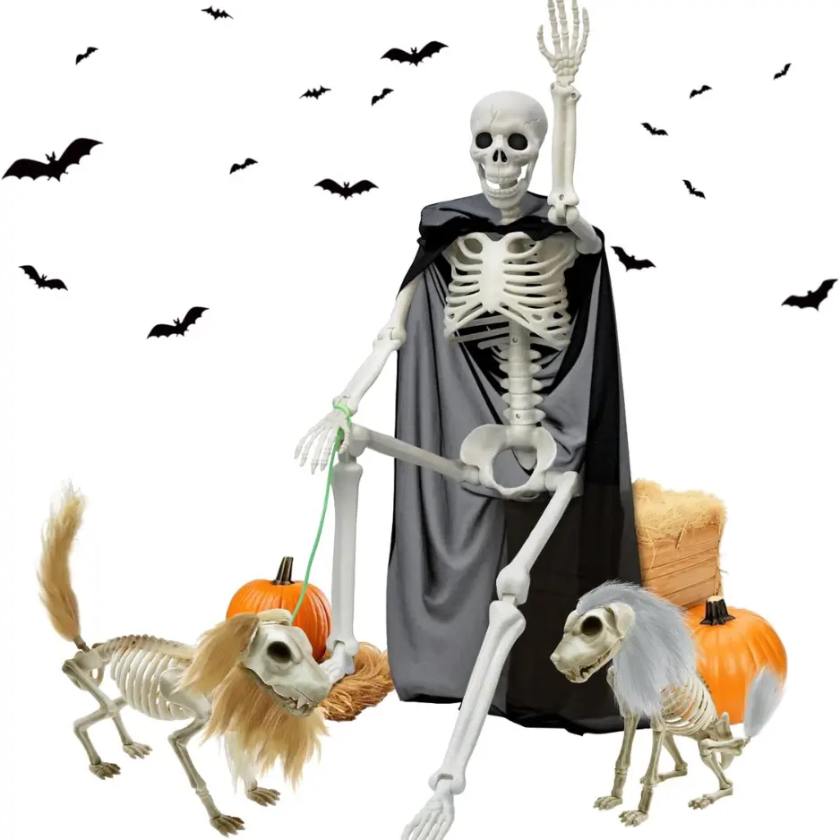 36 Inch Halloween Skeleton Decoration, 3-in-1 Posable