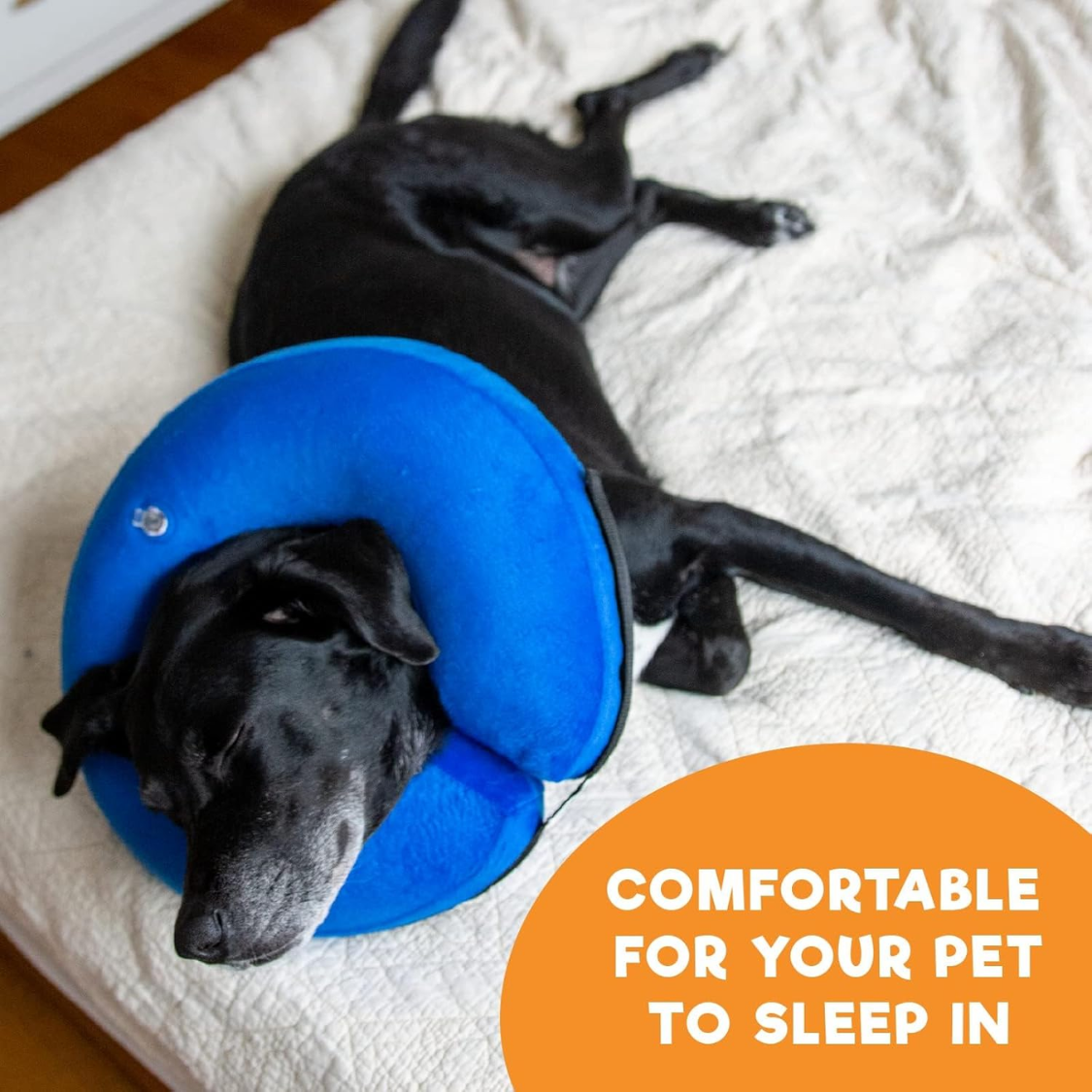 Collerette pour chien après opération, grande taille, bleue