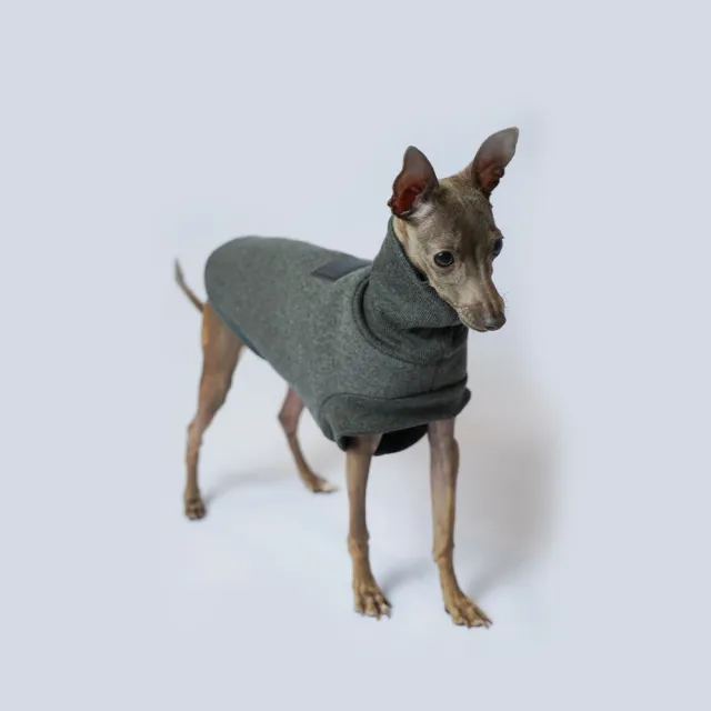 Italy's Small Lingti Whitby Bellington Clothes Rocking Fleece Dog Thickening Warm Grey - Shop at LoveMi