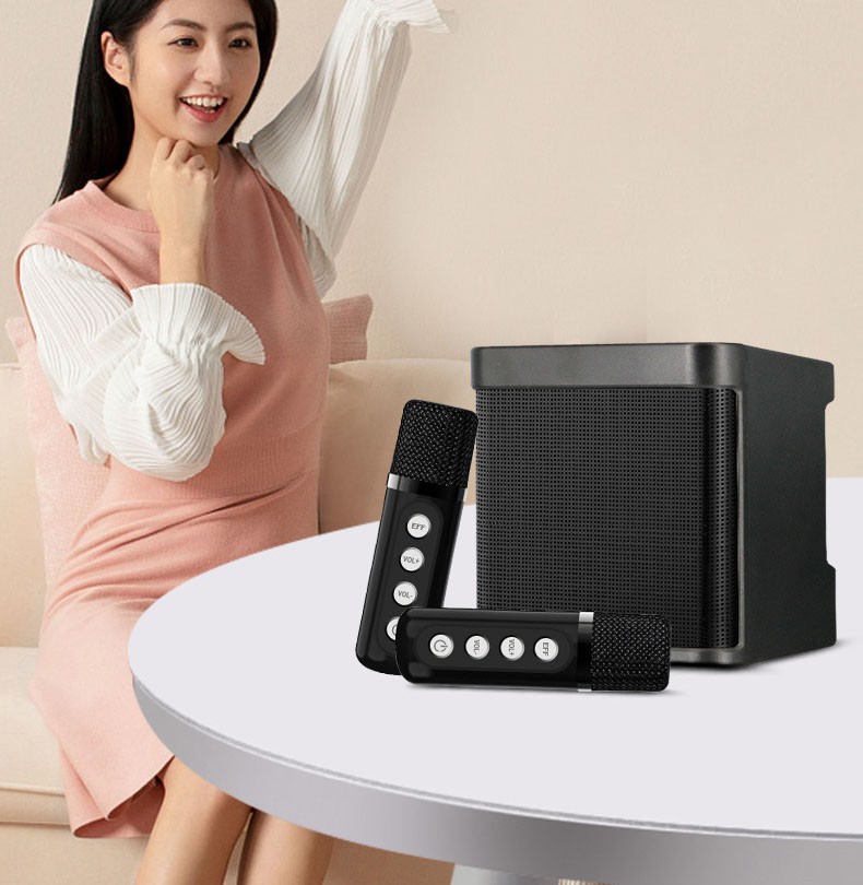 Karaoke Machine Portable Bluetooth Karaoke Speaker With 2 Wireless Microphones 9