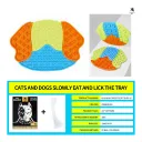 Dog Tricolor Touch B