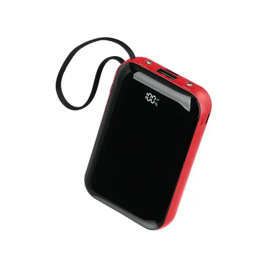 Universal Charging Companion Power Bank