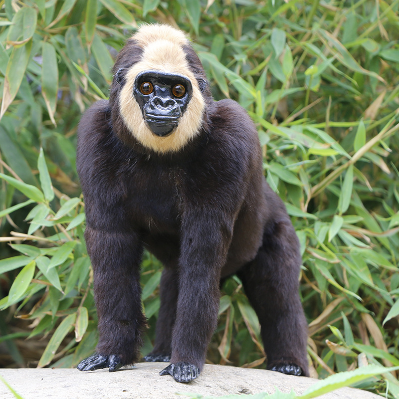Hair Simulation Of Orangutan Animal Model Fur Crafts