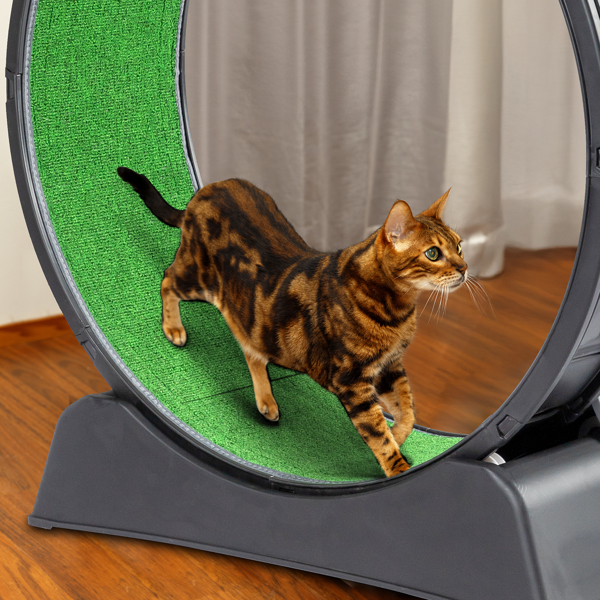 Black Plastic PP Splicing Type With Green Carpet 10kg Cat Treadmill