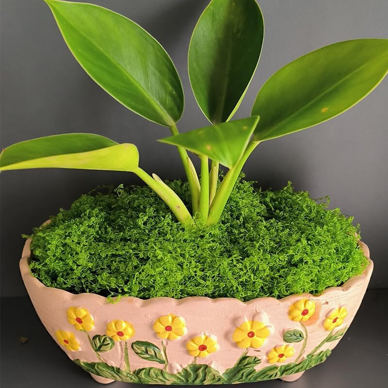 Artificial Green Moss Micro Landscape Fake Garden Crafts Home Decor — image 5