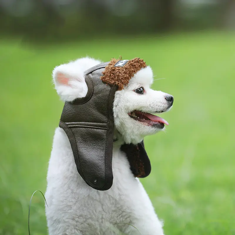 Pet Supplies Autumn Winter