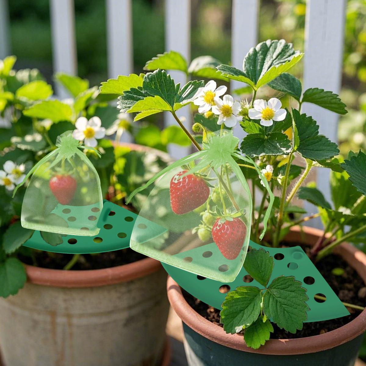 Strawberry Plant Support with Bags
