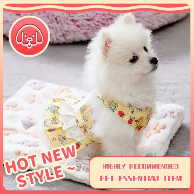 Dog Clothes Harness Dress Leash Set Cute Puppy Dresses With Angel Wings Fashion Outfit Clothing Chihuahua Clothes Pet Harness - Shop at LoveMi