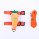 Carrot
