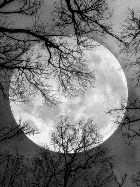 5D DIY Moon Full Square Diamond Embroidery Landscape Home Decoration No Frame - Shop at LoveMi