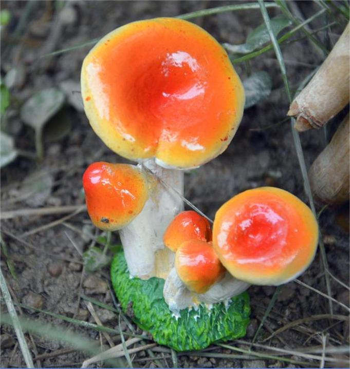 D Orange mushroom