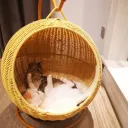 Beige Rattan Nest
