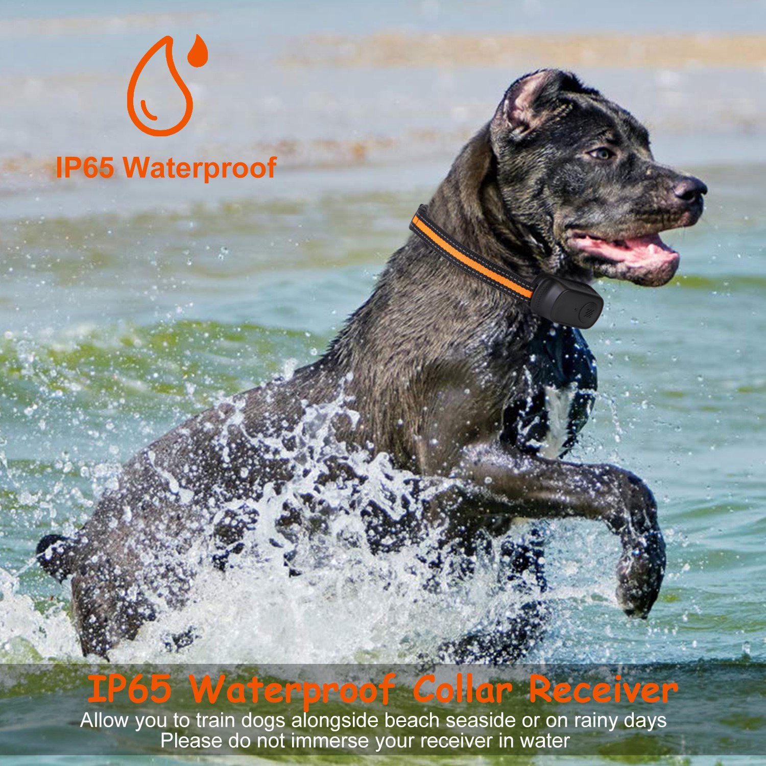 1Pc 984FT Dog Training Collar IP65 Waterproof Pet Beep Vibration Electric Shock Collar 3 Channels Rechargeable Transmitter Receiver Trainer With Recording Safety Keypad Lock — foto 13
