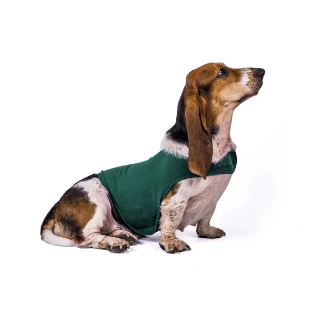 Anxiety Jacket Vest Summer Medical Treatment To Calm Down Cat Clothes Dog Comfort Clothes Lake Green - Shop at LoveMi
