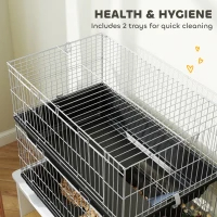 PawHut 2-Tier Small Animal Cage With 2 Doors, Trays, Dish, Bottle, And Ramp For Bunny, Ferret, Chinchilla, Black