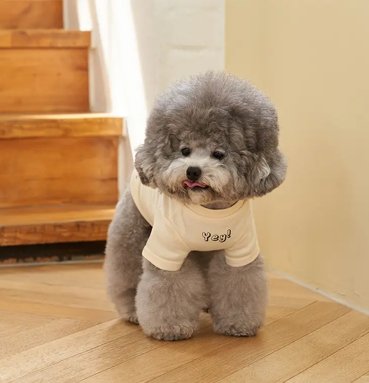 Korea Korean Version Of Pet Clothes T-shirt Refreshing Color Printing Chun Cotton Short-sleeved T